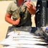 Dayton, TX angler Derrin Underwood waded the surf with mirror lures to catch these impressive trout