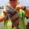 Floyd Henderson of Texas City TX took this nice keeper eater drum on shrimp