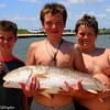 The Horner Kids of Bridge City TX gives a thumbs up to Matthew and his HUGE 37 inch tagger bull red he caught on finger mullet