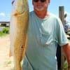 Alvin TX angler James Fontenot caught and released this 32 inch tagger bull red on finger mullet