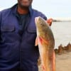 Charles Brown of Missouri City TX fished a finger mullet for this 27 inch slot red