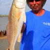 Charley O'Neal of Santa Fe TX took this nice 23 inch slot red on live croaker