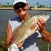 Cheryl Daniels of Cypress TX took this nice 26 inch slot red on shrimp