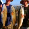 Father and son- Marc and Eric Larousse of Beaumont took these nice slot reds on the early morning bite fishing finger mullet