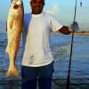 Fishing the surf with cut mullet, George M landed this HUGE 39 inch tagger bull red on a mullet