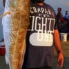 Joe Tapia of Houston wrangled up this HUGE 36 inch tagger bull red on live finger mullet