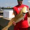 Josh Soliman of Houston hefts this 36 inch tagger bull red caught on cut mullet