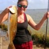 Kelsey Reed of Dayton TX fished a finger mullet for this nice 26 inch slot red