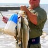 Mark Birdwell of San Augustine TX waded the surf with live croaker to catch this nice mess of trout