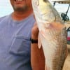 Mark Johnson of Houston fished live shrimp to catch this 23 inch slot red