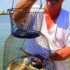 Mike Barron of Dayton TX caught a basket of golden croaker on shrimp