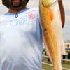 Mr Henry of Chambers County took this nice 25 inch slot red while fishing shad