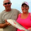 Newlyweds Mr and Mrs Charles and Sheri O'Neal of Santa Fe tied the wedding knot at 10 am and headed for Rollover Pass to fish where this redfish culminated their bliss