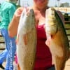 Pamela Herrod of Apex NC wrangled up these two slot reds while fishing finger mullet