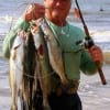 Ricky Tribble of Winnie TX fished an 808 Mirro-Lure while wading the surf to catch this 10 trout limit including a 7 lb gator-trout