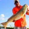 Sal Soliman of Houston hefts this HUGE 42 inch tagger bull red caught on cut mullet