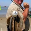 San Augustine TX wade angler Mark Birdwell fished rollover bay with Berkley Gulp for this limit of flatfish, including a 23inch doormat
