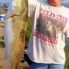 Shirley Stanley of Winnie TX fished dead shrimp to catch a croaker, then fished the croaker to catch this 32 inch tagger bull red