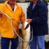 The Brian Brothers- George and John- team up to catch this HUGE Bull Red John caught on a finger mullet