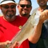 The Three Stooges of the Peralta Krewe of Humble TX teamed up to catch this 21inch slot red