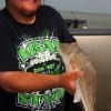 Tito Davila of Houston released this 20 inch slot red caught on shrimp-