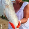 Vickie Covy of La Porte TX fished cut bait for this nice 23 inch slot red