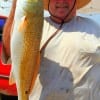 Walter Allmon of Huffman TX caught and released this 31 inch tagger bull red on finger mullet