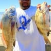 Bradley Denton of Houston fished shrimp for this sheepshead and drum