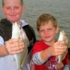 Brother anglers Joshua and Tyler Wallace of Houston teamed up to catch these nice croaker on shrimp