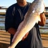 Charles Green of Houston took this 35 inch bull red on cut mullet