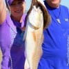 Christie and Bill Mcintosh of Baytown TX fished Rollover Bay with mud minnows to catch this nice slot red and flounder