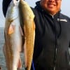 Dan Luangpakdy of Tomball TX landed these nice sloty reds while night-fishing with live shrimp and popping cork