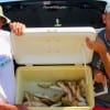 Father and Son, C.T. and Raymond Helms of New Caney TX boxed up these nice croaker for supper - ALL ARE INVITED!!