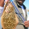Jerry P. of Houston nabbed these nice flounder while fishing Berkley Gulp