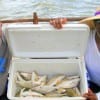 Mark and Rhonda Lewis of Houston spent quality fishing time at Rollover catching croaker