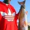 Pedro Willis of Houston nabbed this nice 36inch tagger bull red while fishing a finger mullet
