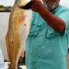 Robert Broussard of Beaumont caught and tagged this 29inch bull red while fishing a finger mullet