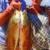 Roger and Scarlet Richardson of Mauriceville TX took these 3 nice slot reds on finger mullet