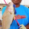 Sumantha Jones of Houston was fishing shrimp when this Mega-Croaker hit her line - WHATTA CROAKER!!!
