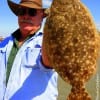 Tom Barton of Lumberton TX took this nice flounder on a finger mullet