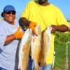 Houston anglers Mr and Mrs Bradley fished live shrimp for these nice reds