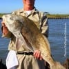 Liberty TX angler OT Smith fished cut mullet to catch and release this nice 34 inch Bull drum