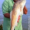 Mike Godfrey of League City TX waded out to -The Rock-  on Rollover Bay with a Berkley Gulp for this caught and released 36 inch Bull Red