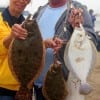 Sharon and Felix Barker of Koontze TX wrangled up this impressive Nov-Limit of flounder on Berkley Gulp