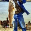 Steven Hilton of Gladewater TX caught and released this HUGE 38 inch Bull Red while fishing with a finger mullet