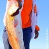 Tanya Tooks of Houston caught this 35 inch tagger bull red in the surf on finger mullet