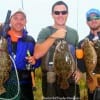 Wade-Buddies Chris Vandagriff, Nick Hammons, and Jonathan Allegra of Dickinson TX worked Berkley Gulp in Rollover Bay to catch this impressive 3 man Nov-Limit of flounder