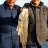 Father and son, Remiundo and Manuel Marges of Houston teamed up to catch this nice 25inch slot red on frozen shad