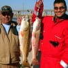 Fishin' Buds Omar Rodriguez and Jose Herrera of Houston took this 29 inch tagger bull and 27 inch slot reds on cut mullet while fishing the tide change