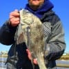 Haslet TX angler Tom Kwiecinski nabbed this nice keeper eater drum fishing shrimp